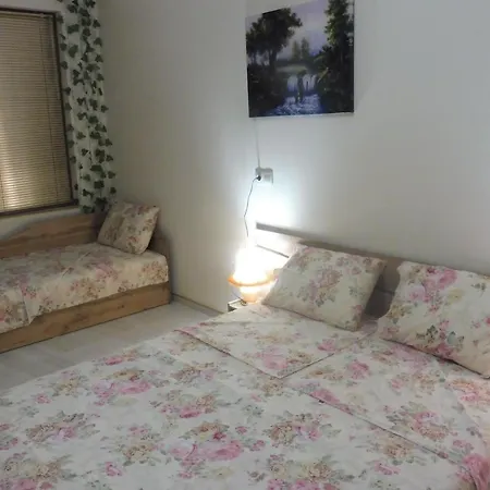 Viktoria Casa de hóspedes 4*