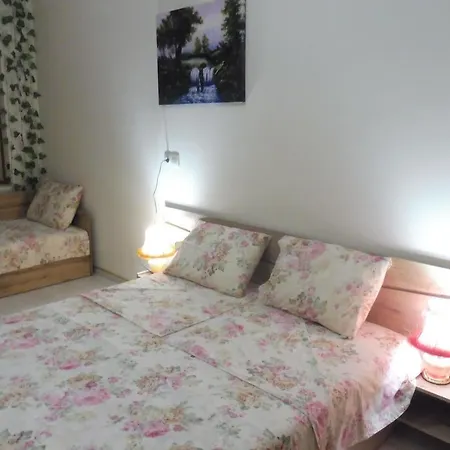 Casa de hóspedes Viktoria 4*