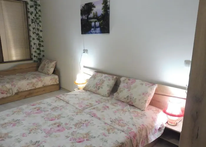 Affittacamere Viktoria 4*