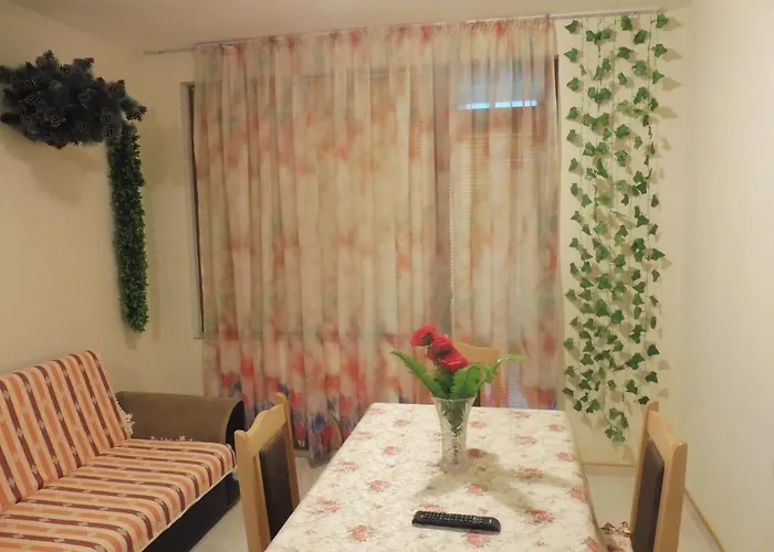 Viktoria ゲストハウス