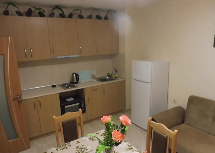 ゲストハウス Viktoria ポモリエ