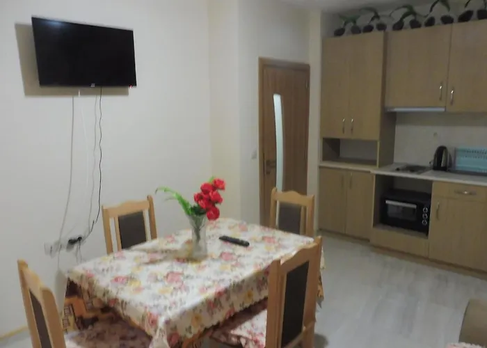 ゲストハウス Viktoria