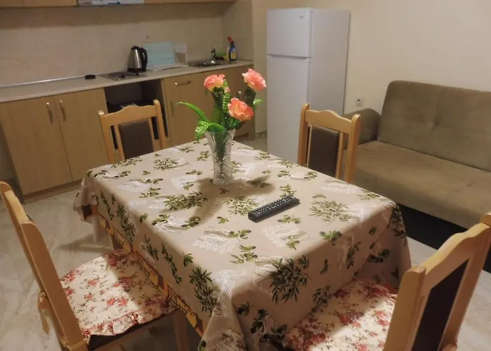 Viktoria ゲストハウス 4*