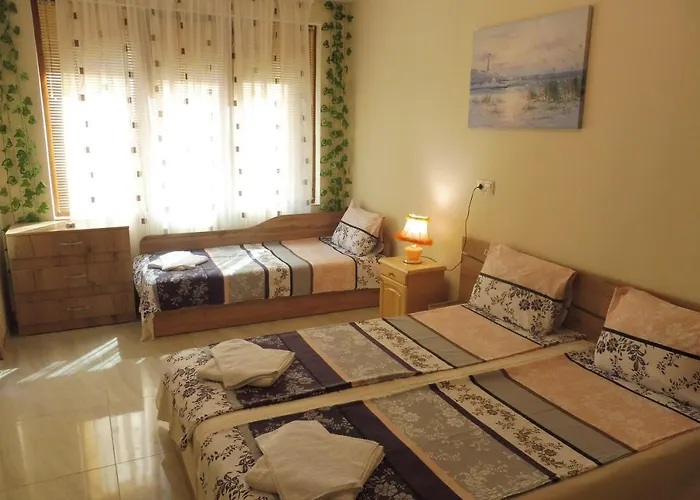 Viktoria ゲストハウス 4*