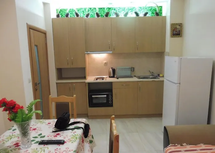 ゲストハウス Viktoria ポモリエ